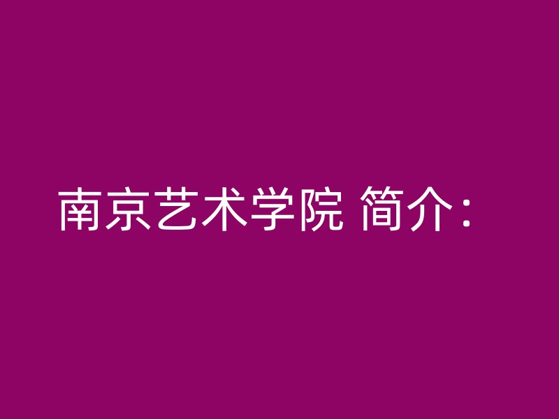 南京艺术学院 简介：