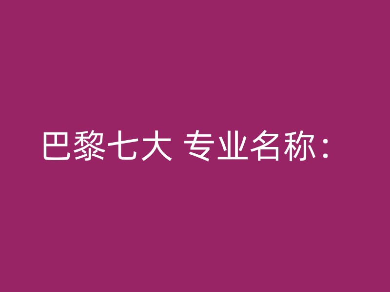 巴黎七大 专业名称：