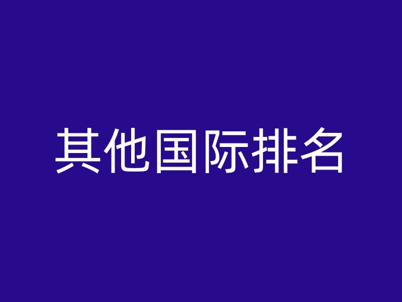 其他国际排名