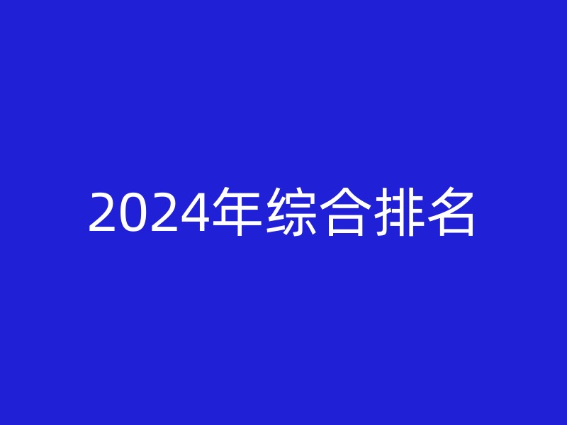 2024年综合排名