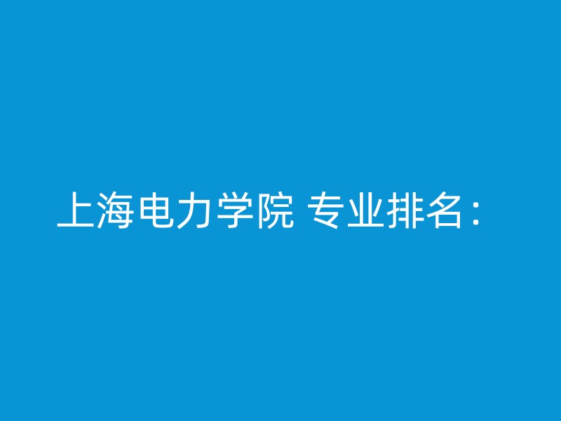 上海电力学院 专业排名：