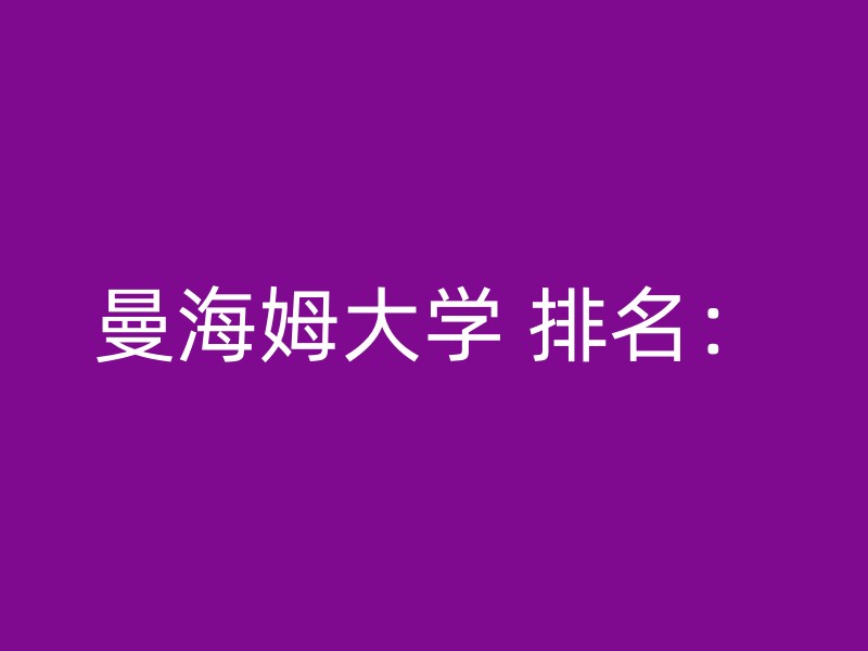 曼海姆大学 排名：