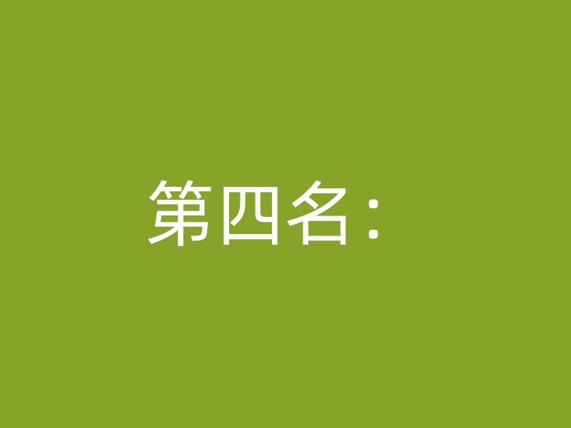 第四名：