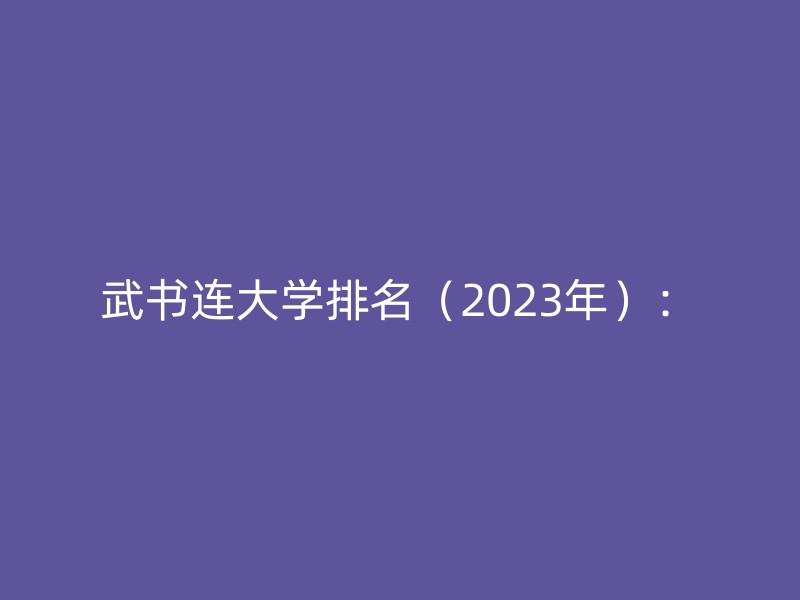 武书连大学排名（2023年）：