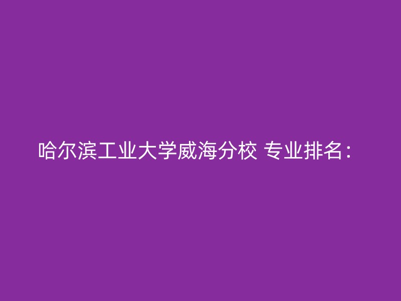 哈尔滨工业大学威海分校 专业排名：