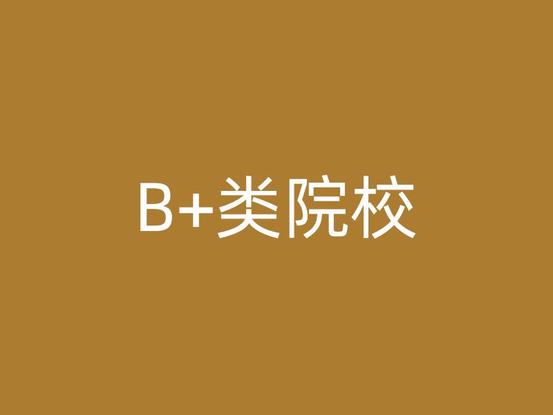 B+类院校