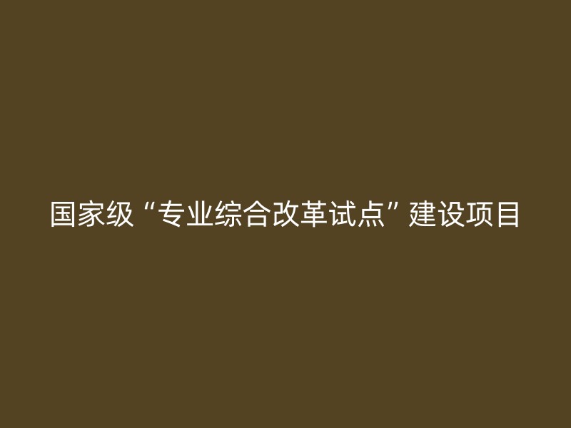 国家级“专业综合改革试点”建设项目