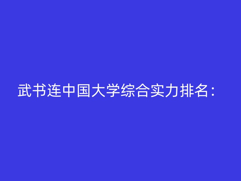 武书连中国大学综合实力排名：