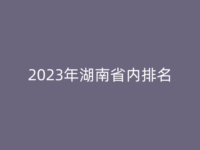 2023年湖南省内排名