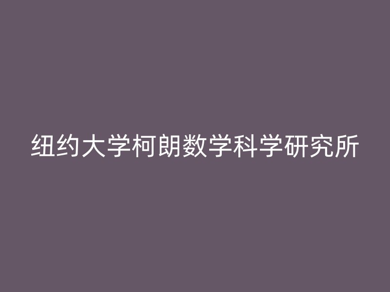 纽约大学柯朗数学科学研究所