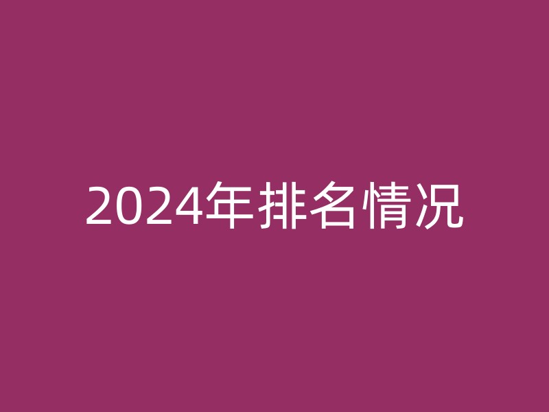 2024年排名情况