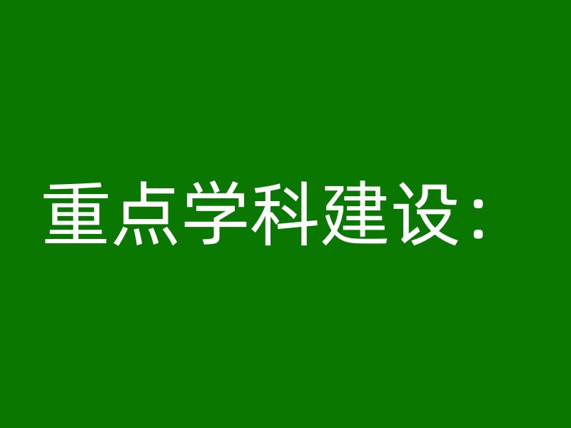 重点学科建设：