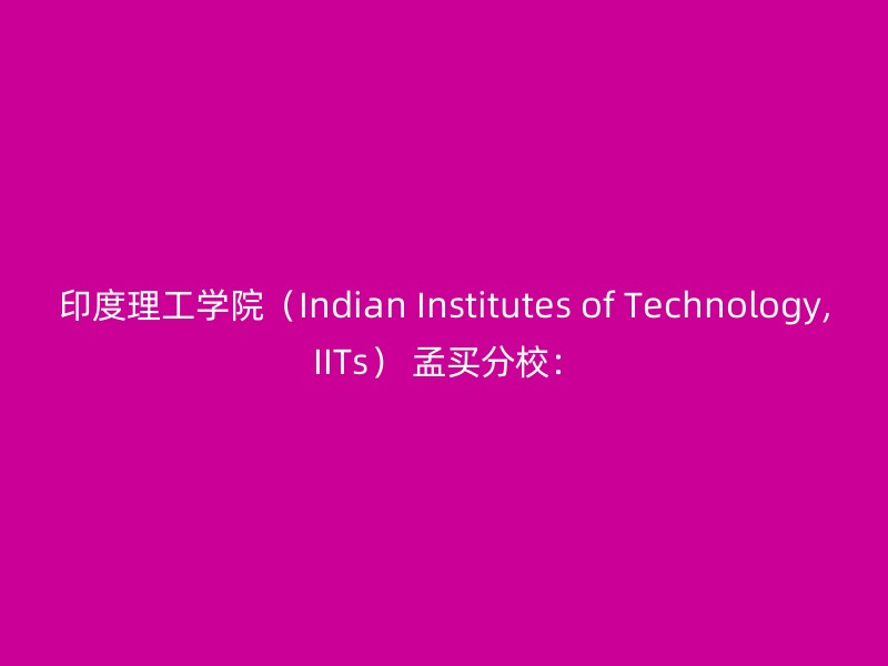 印度理工学院（Indian Institutes of Technology, IITs） 孟买分校：