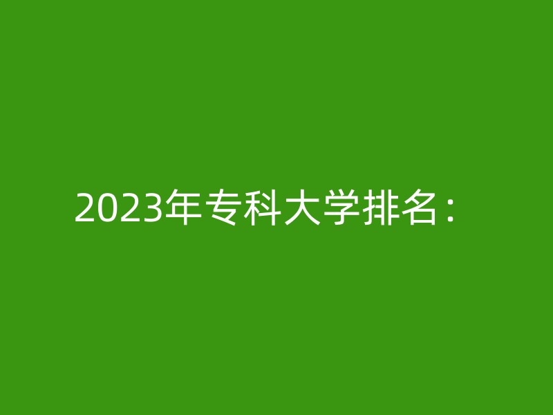 2023年专科大学排名：