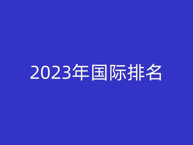 2023年国际排名