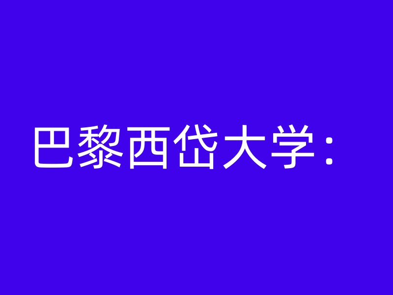 巴黎西岱大学：