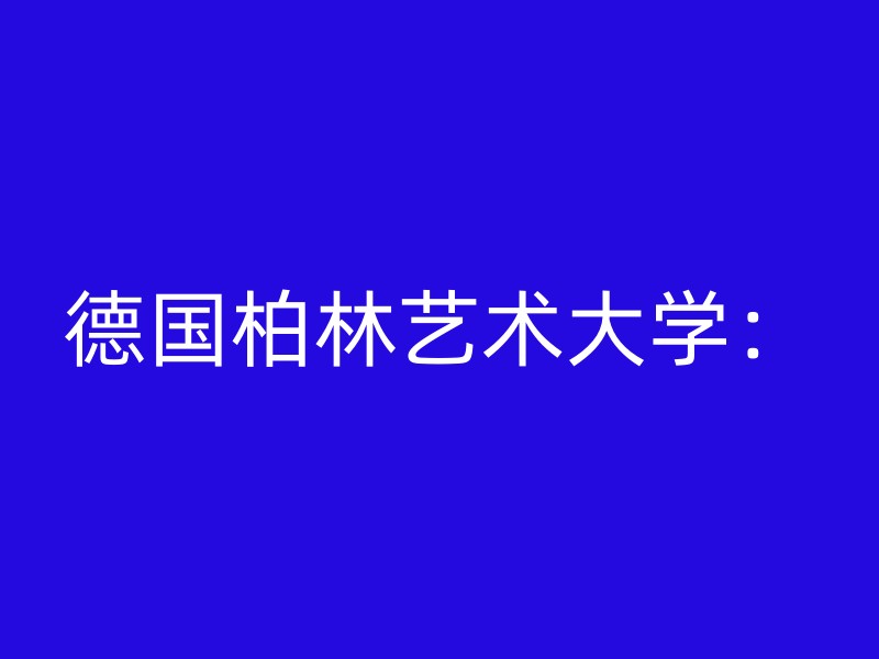 德国柏林艺术大学：