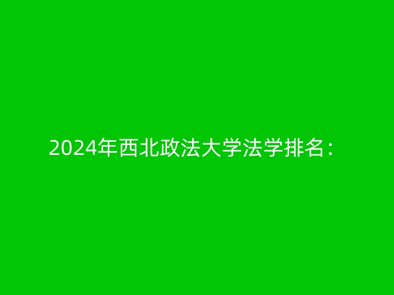 2024年西北政法大学法学排名：