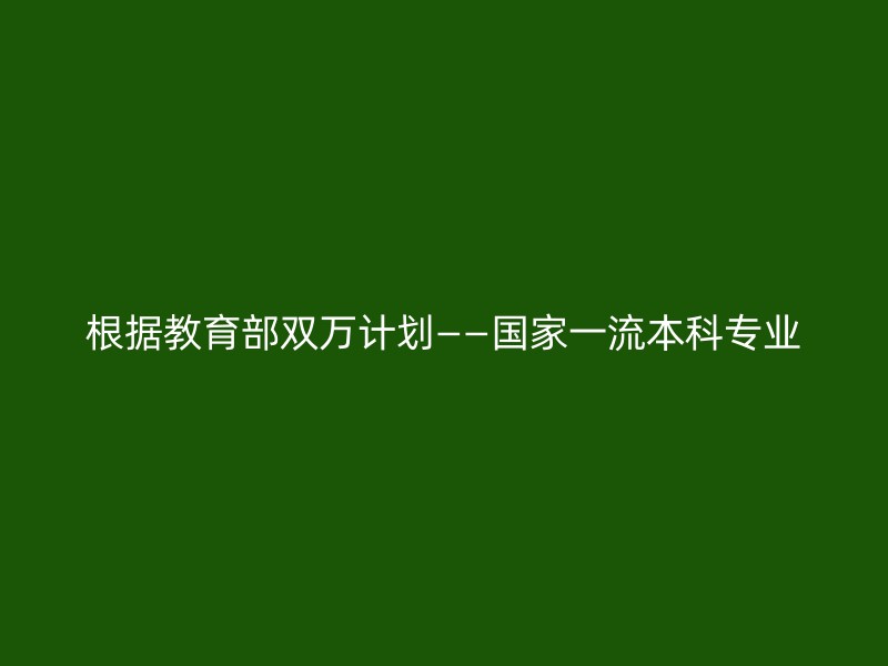 根据教育部双万计划——国家一流本科专业