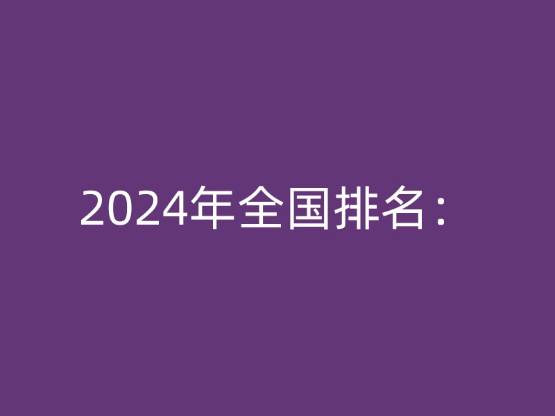 2024年全国排名：