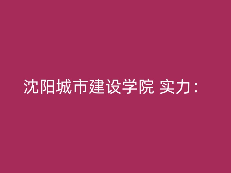 沈阳城市建设学院 实力：