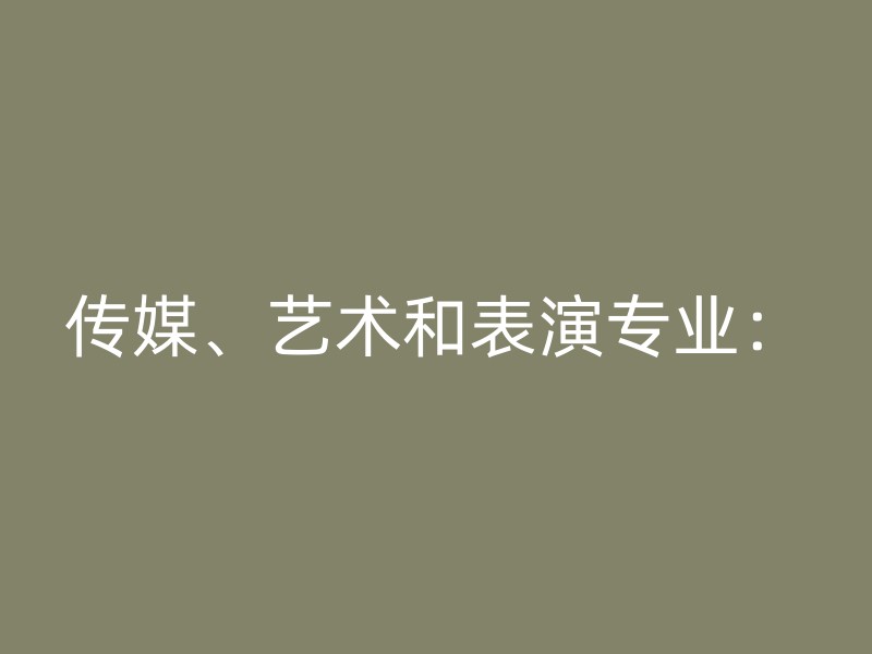 传媒、艺术和表演专业：