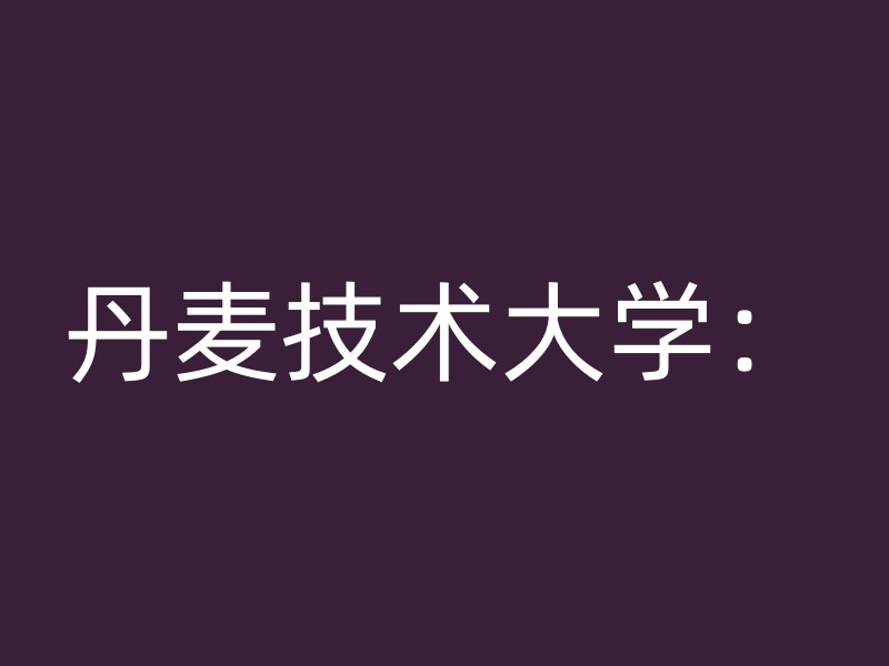 丹麦技术大学：