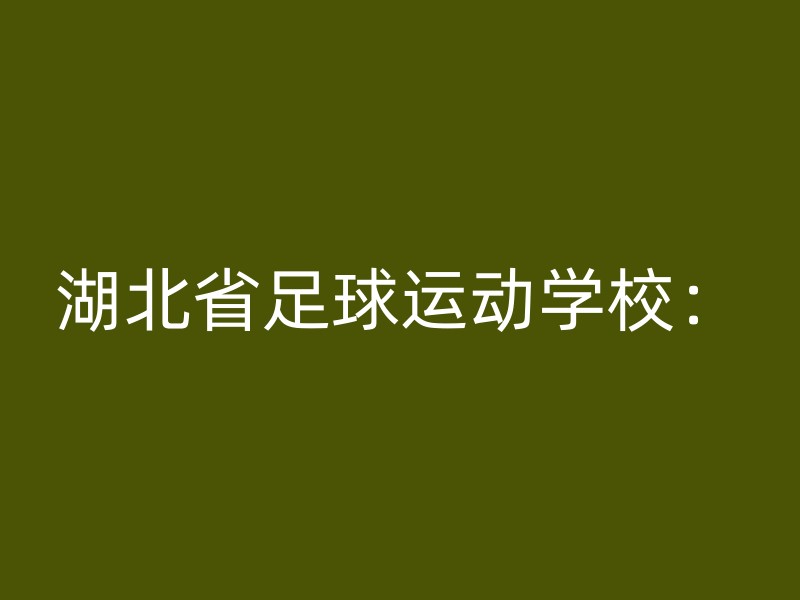 湖北省足球运动学校：