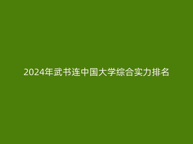 2024年武书连中国大学综合实力排名