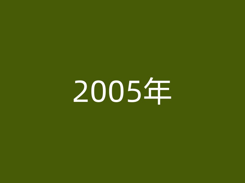 2005年