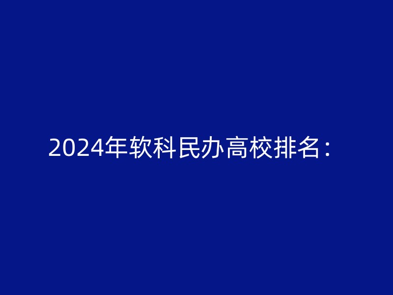 2024年软科民办高校排名：