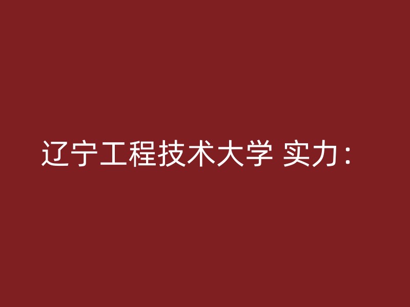 辽宁工程技术大学 实力：