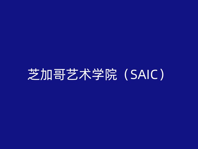 芝加哥艺术学院（SAIC）