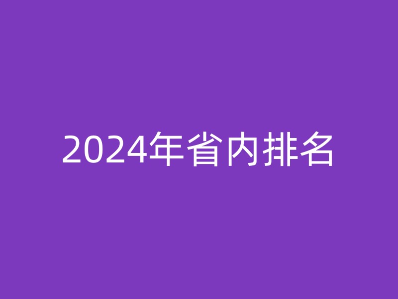 2024年省内排名