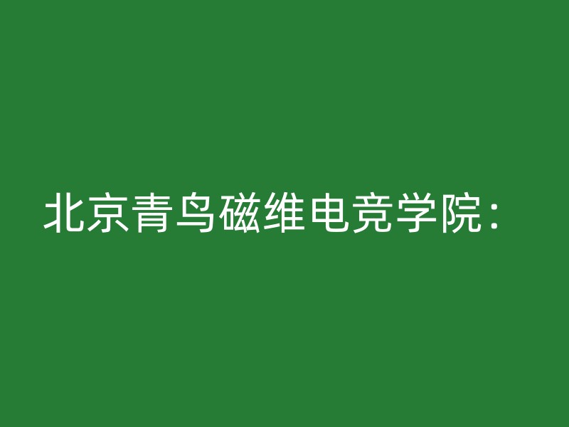 北京青鸟磁维电竞学院：