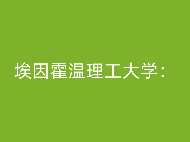 埃因霍温理工大学：