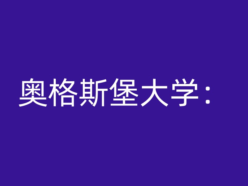 奥格斯堡大学：