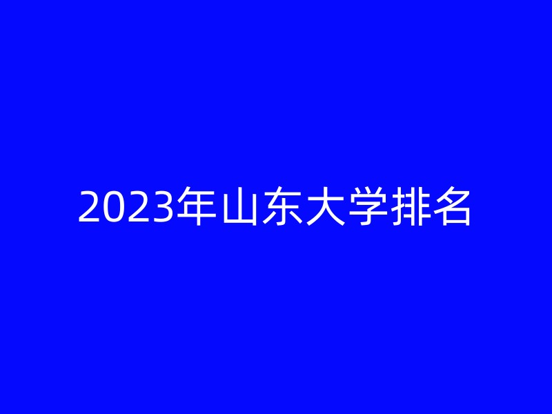 2023年山东大学排名