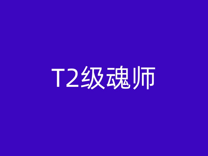 T2级魂师