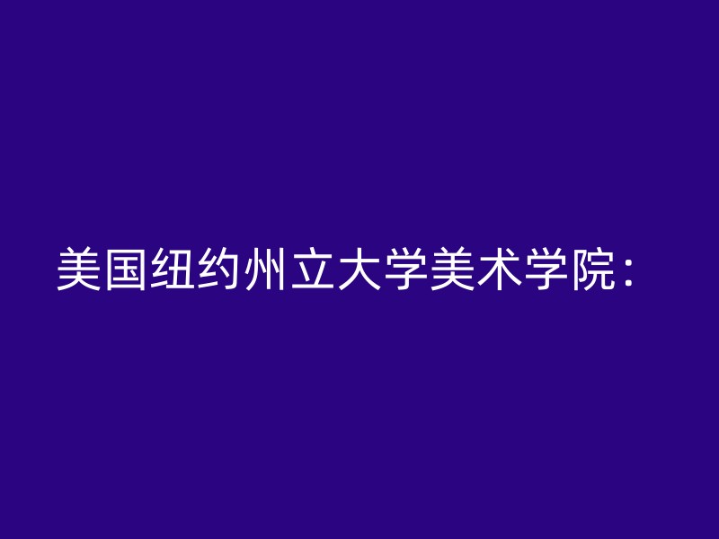 美国纽约州立大学美术学院：