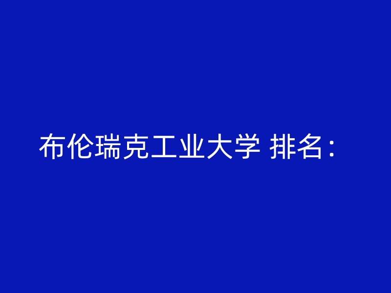 布伦瑞克工业大学 排名：