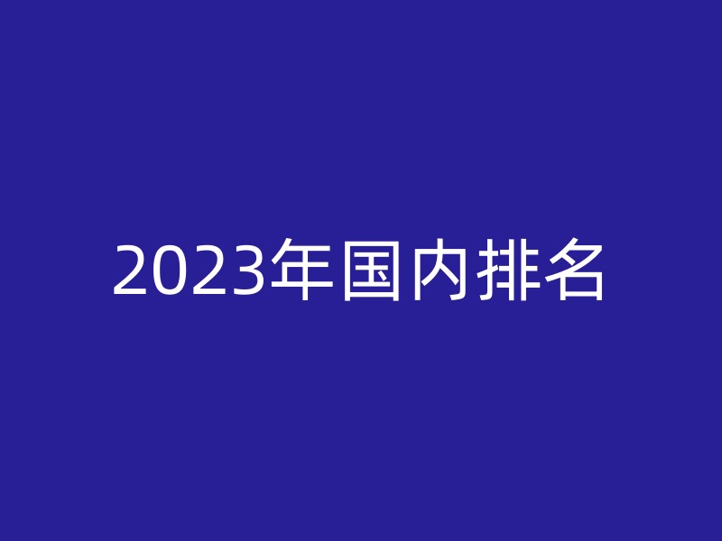 2023年国内排名