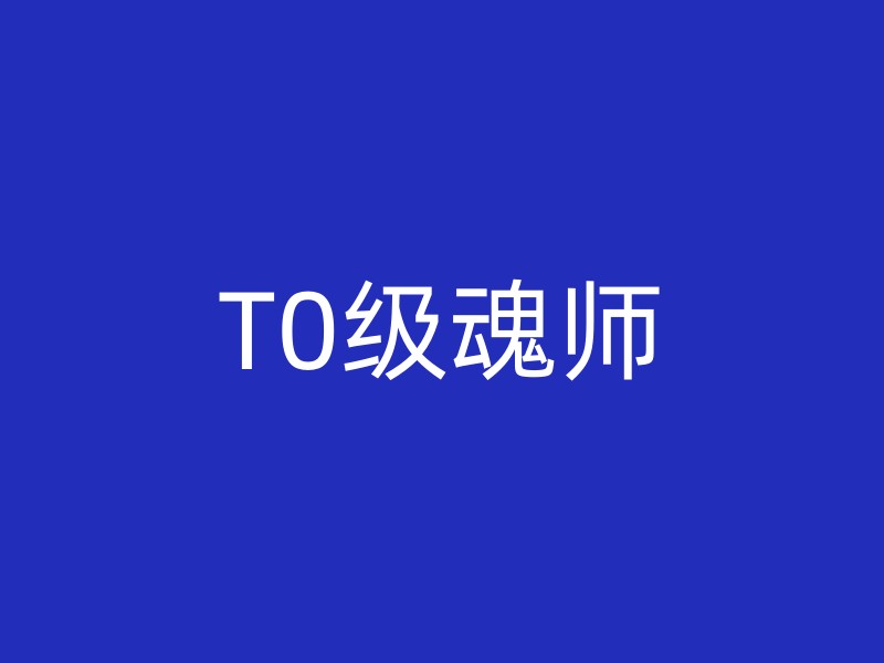 T0级魂师