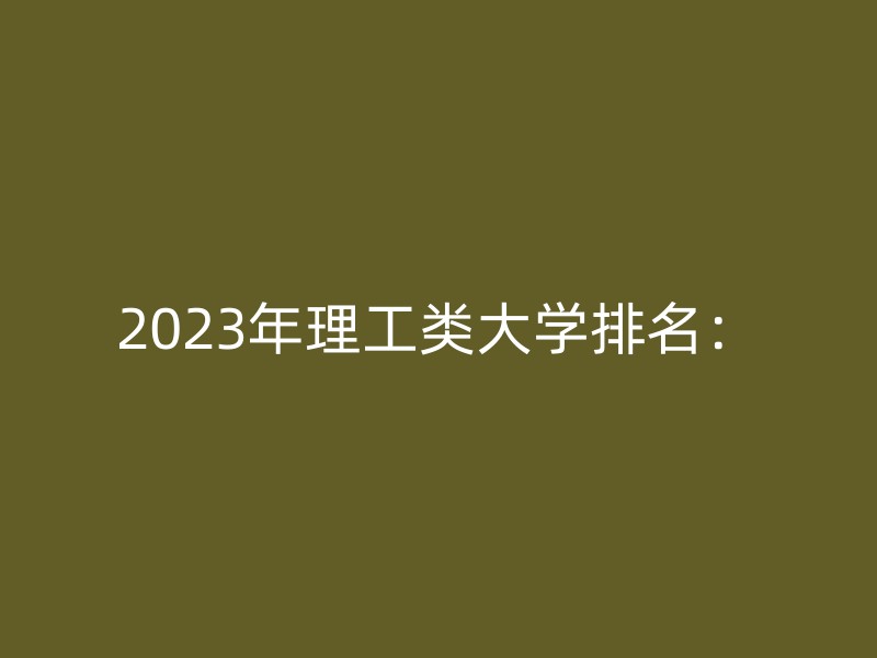 2023年理工类大学排名：