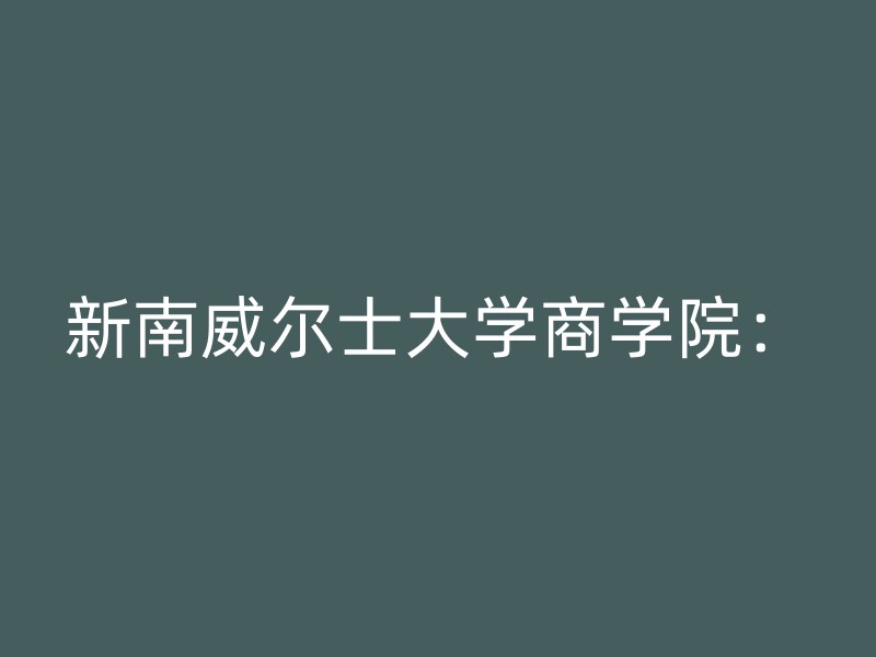 新南威尔士大学商学院：