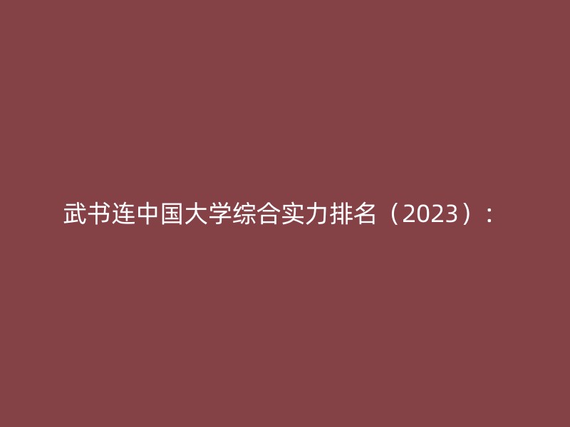 武书连中国大学综合实力排名（2023）：