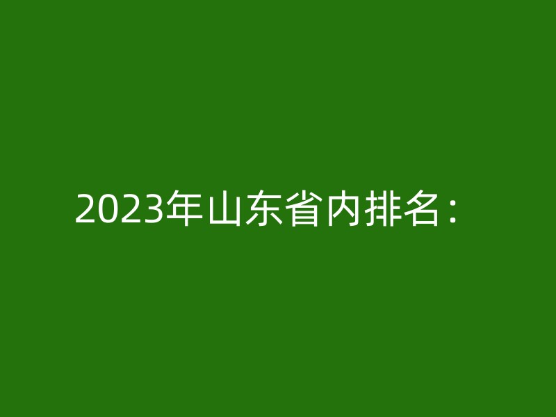 2023年山东省内排名：