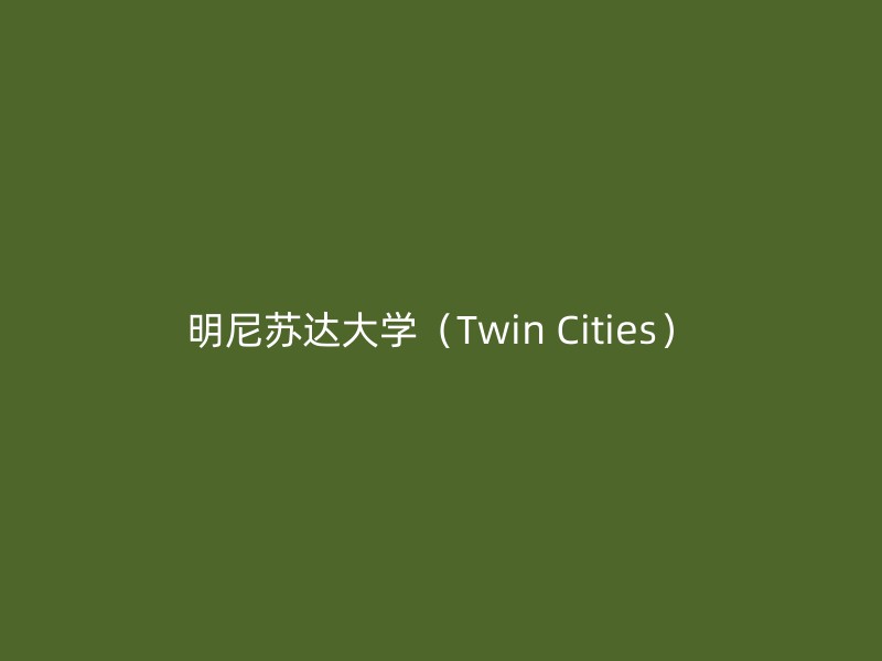 明尼苏达大学（Twin Cities）