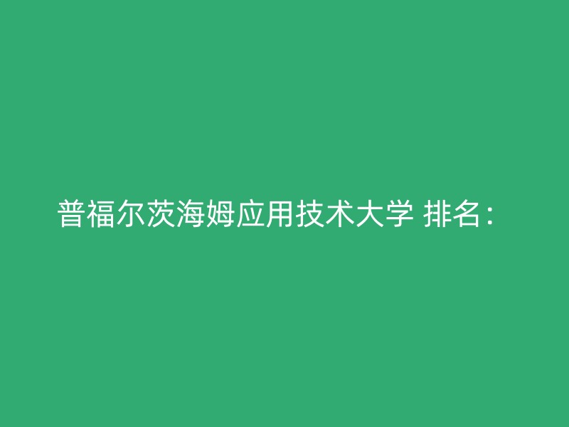 普福尔茨海姆应用技术大学 排名：