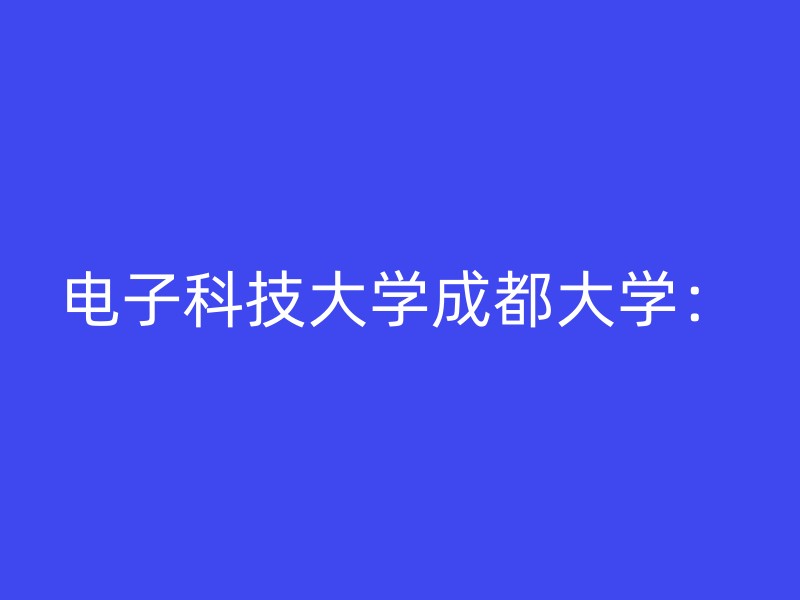 电子科技大学成都大学：